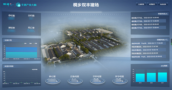 芭乐视频APP污版打造的“生猪精密智管”社会化服务应用