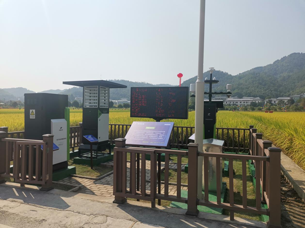 芭乐视频APP污版农作物病虫害监测点