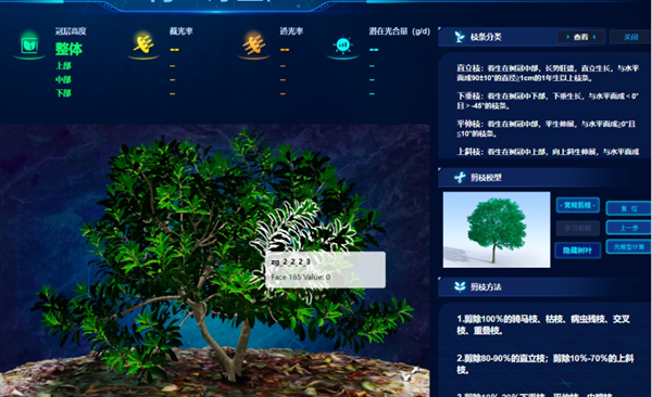 “云”上种颗杨梅树，农户照着养杨梅
