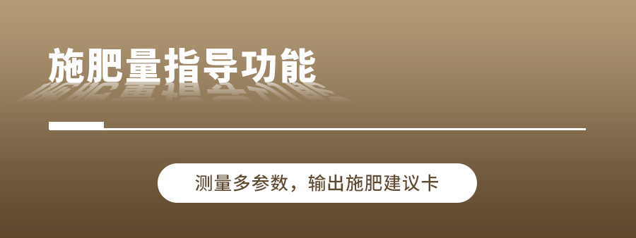 污芭乐成人养分快速检测仪