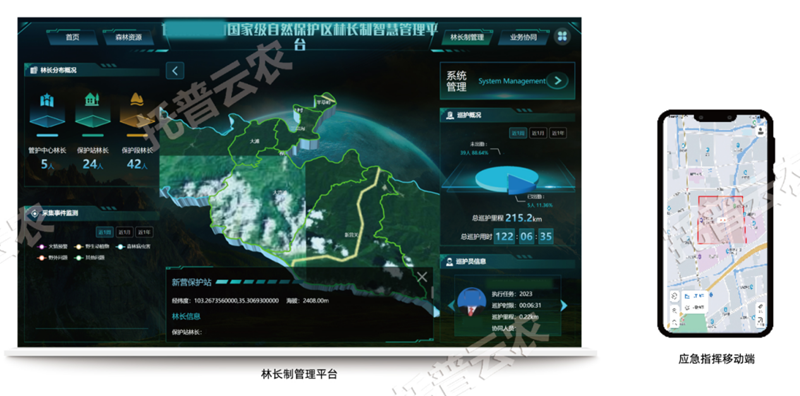 图片8.png