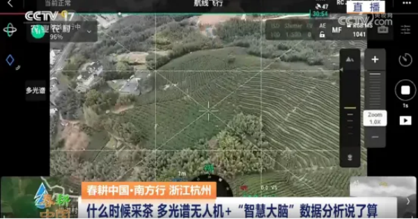 图片7.png