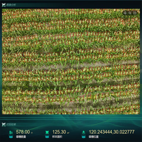 seo-5.png