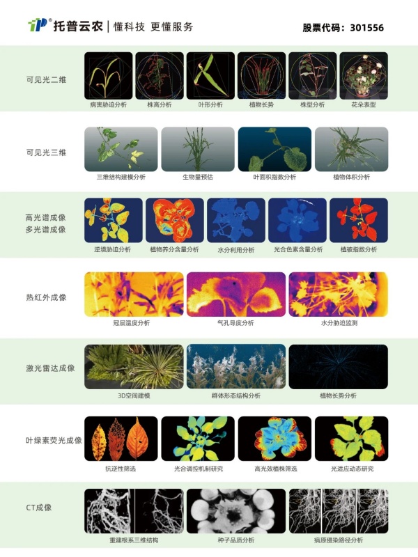 植物表型二_副本.jpg