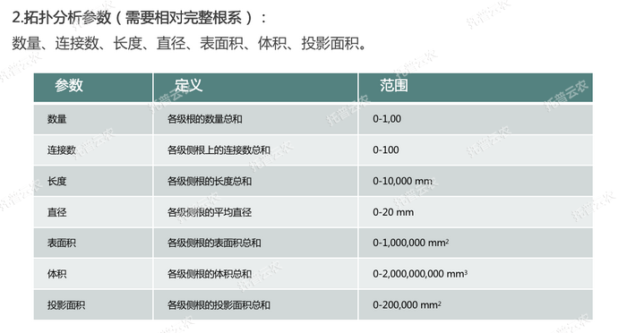 拓扑分析参数.png