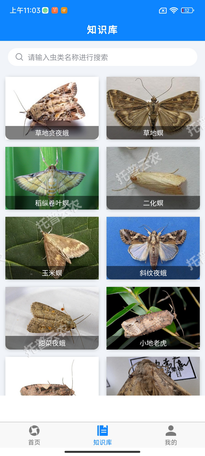 5、害虫知识库.png
