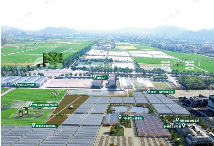 1 封面图.jpg