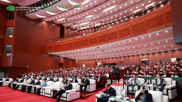 图片2_副本.jpg