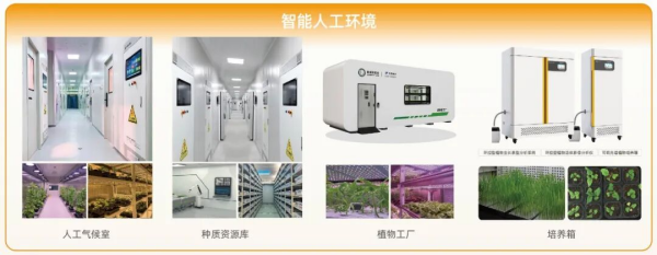 图片2_副本.png