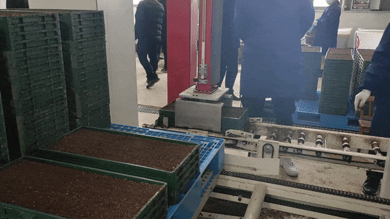 图片3.gif
