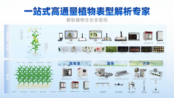 图片7_副本.png