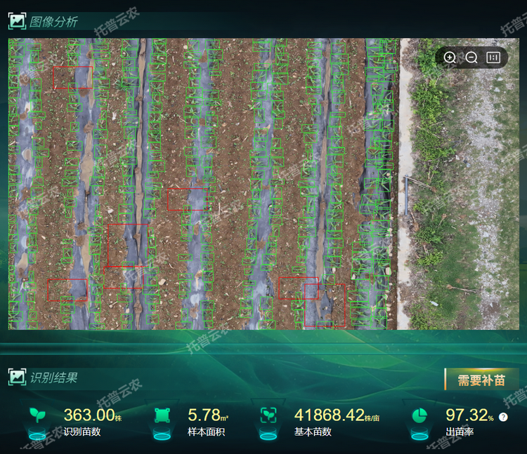 出，苗率.png