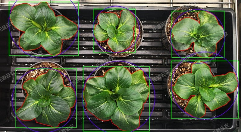 表型分析-环控型植物生长表型分析系统.jpg