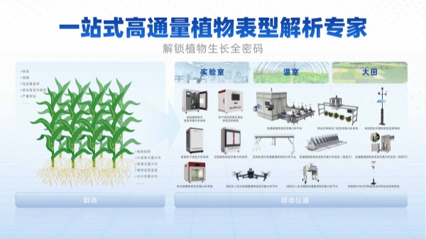 图六_副本.jpg