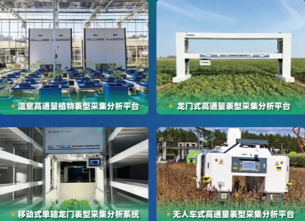 图片3_副本.png
